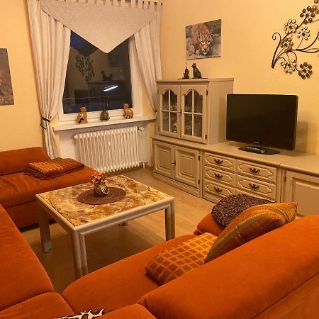 Steinberg-Blick Apartment Herzberg am Harz Ngoại thất bức ảnh