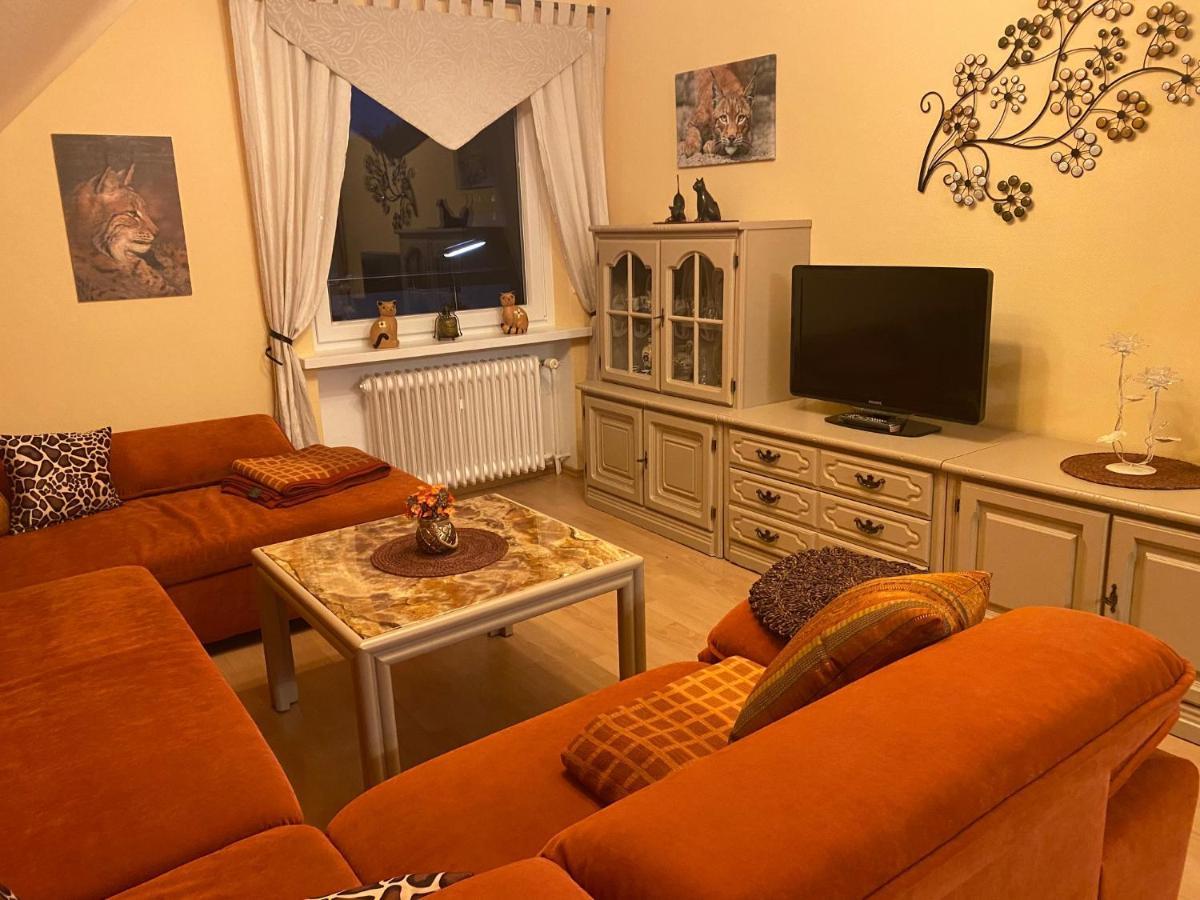 Steinberg-Blick Apartment Herzberg am Harz Ngoại thất bức ảnh