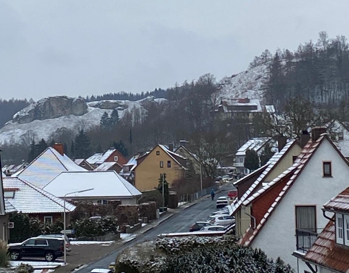 Steinberg-Blick Apartment Herzberg am Harz Ngoại thất bức ảnh