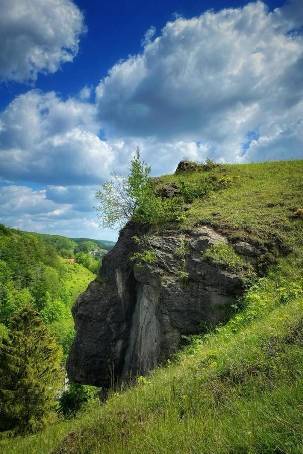 Steinberg-Blick Apartment Herzberg am Harz Ngoại thất bức ảnh