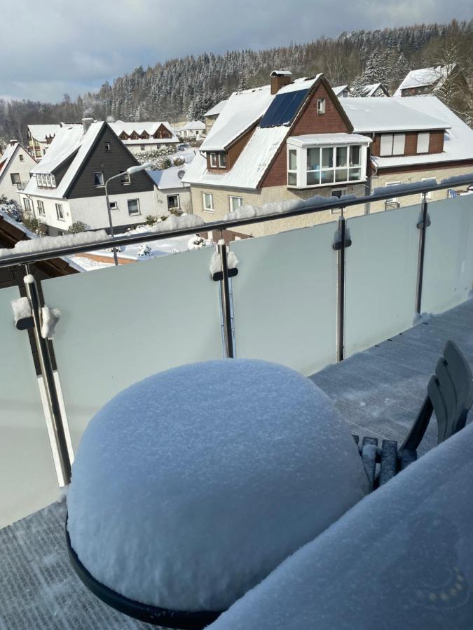 Steinberg-Blick Apartment Herzberg am Harz Ngoại thất bức ảnh